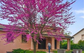 Gorgeous Apartment In San Pietro Di Feletto